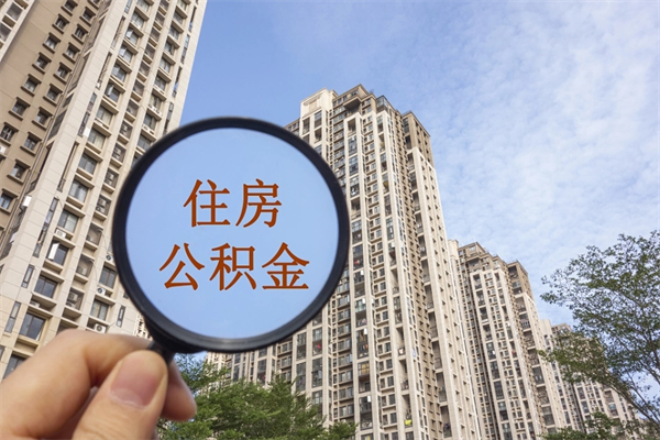 桂阳离职可以取出公积金吗（离职可以取公积金嘛）
